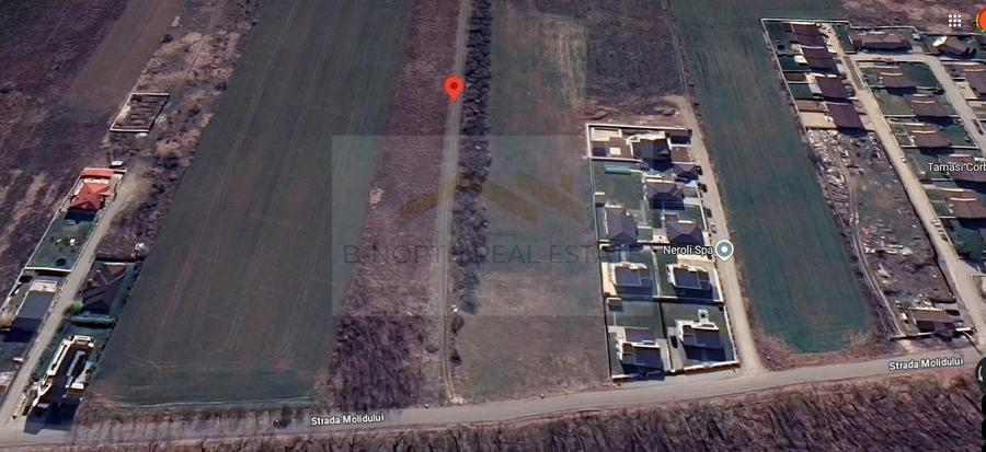Teren Construcții intravilan de 600 mp, în Corbeanca