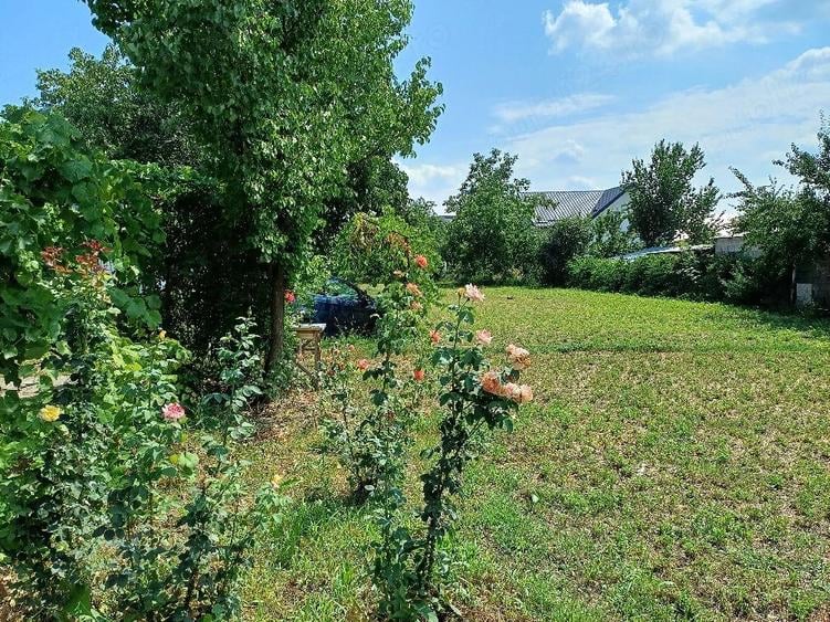 Teren de 1555 mp, în Central