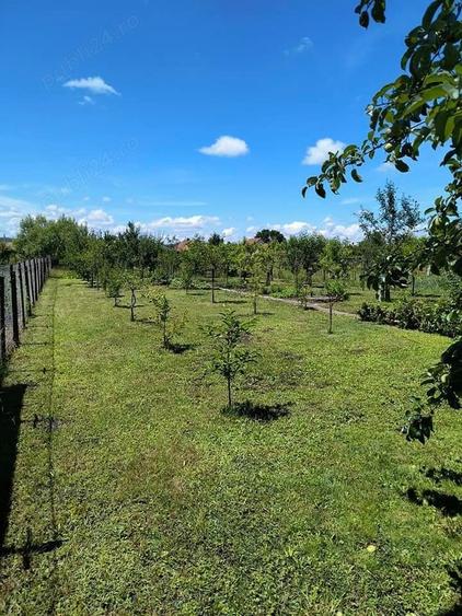Casă cu 3 camere cu Teren 1025 Mp în Reghin