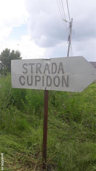 Teren de 540 mp, în Domnești