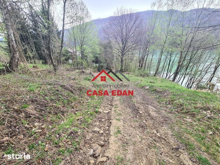Teren de 1000 mp, în Valea Doftanei