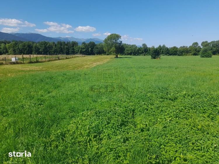 Vanzare teren intravilan apropiere de zona turistica Sebes Judetul b - 1
