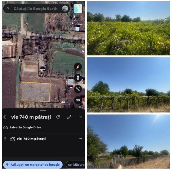 Casă cu 3 camere în Floroaica