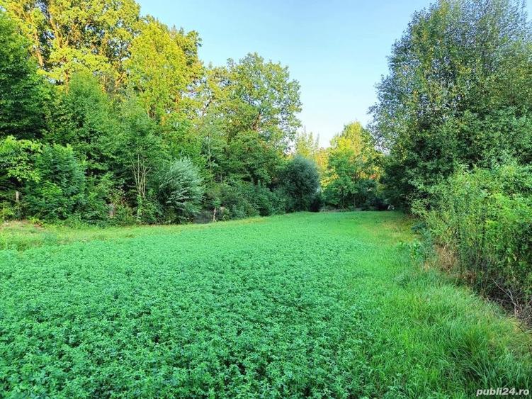 Teren de 3100 mp, în Bistrița
