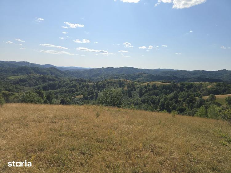 Teren de 150000 mp, în Cerbăl