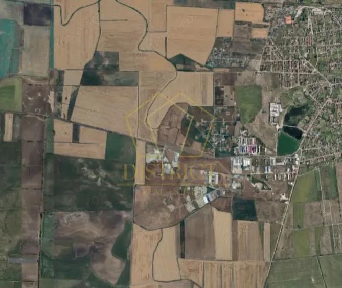 Teren extravilan la DN pentru PUZ | Sacalaz - 4