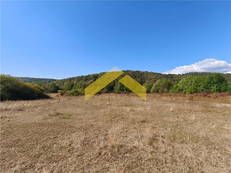Teren extravilan de 20574 mp, în Corbești