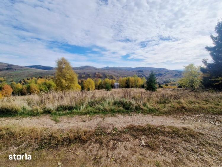 Teren de 1000 mp, în Băișoara