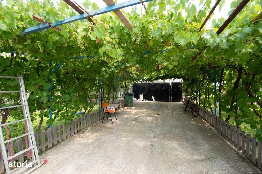 Casă cu 3 camere în Adunații-Copăceni