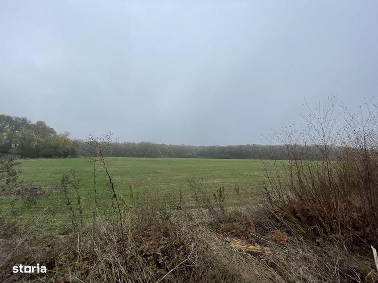 9400 mp | Ideal pentru investitie | Tunari | Deschidere la padure - 1