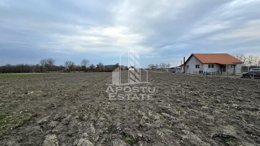 Teren Construcții intravilan de 2200 mp, în Dragșina