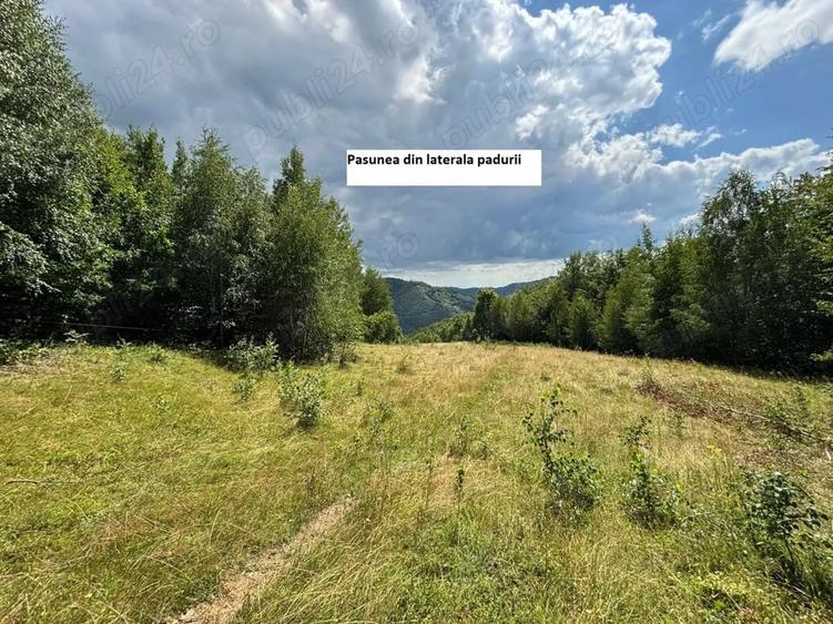 Teren de 35000 mp, în Parva