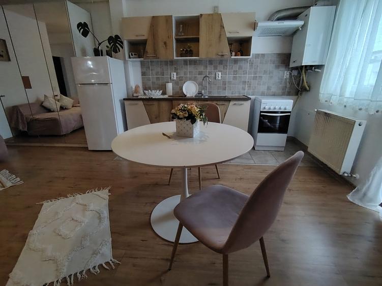 Inchiriere Apartament 2 camere semidecomandat, 52 mp, Urusagului - 5