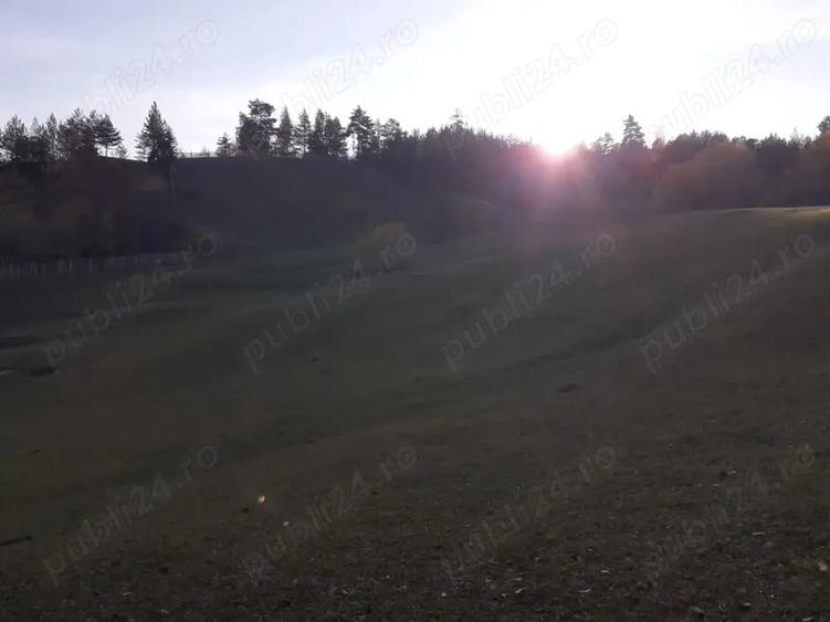 Teren de 13700 mp, în Nereju
