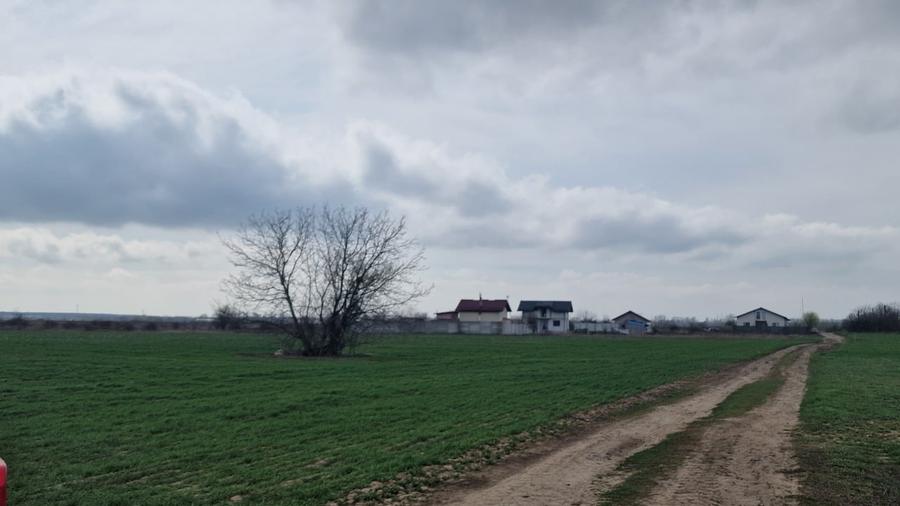 Teren Construcții intravilan de 13298 mp, în Săbăreni