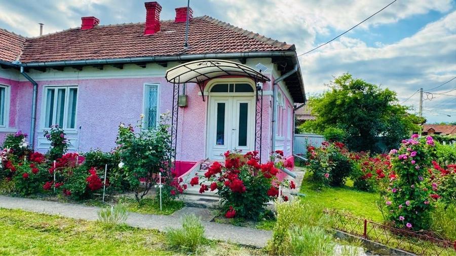 Casă cu 4 camere cu Teren 1490 Mp în Coman