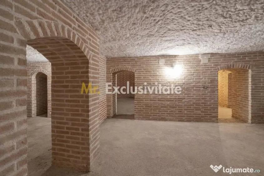 Casă cu 8 camere cu Teren 1229 Mp în Ștefănești