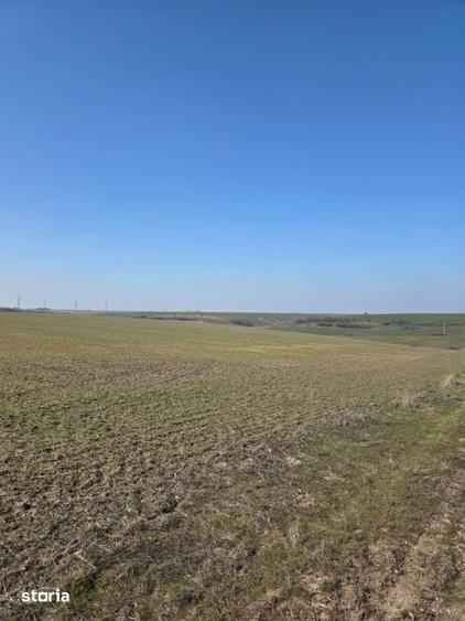 Teren de 7500 mp, în Mischii
