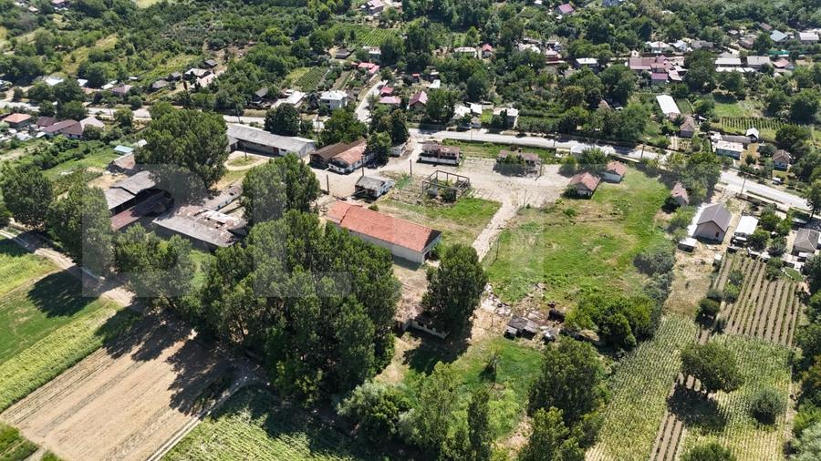 Teren Construcții intravilan de 32000 mp, în Răducăneni
