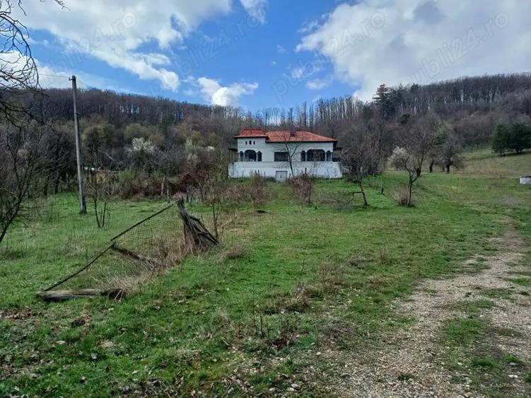 Casă cu 4 camere cu Teren 9000 Mp în Cotmeana