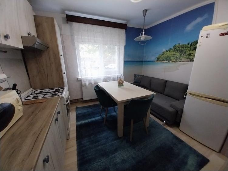 Apartament cu 2 camere decomandat, mobilat în Doamna Ghica