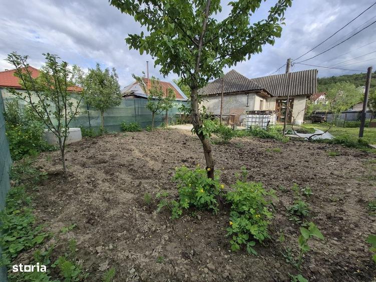 Casă cu 2 camere cu Teren 330 Mp în Cleja