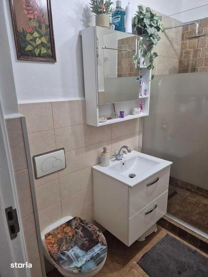 Apartament 2 camere + curte proprie Salaj, Rahova - 8