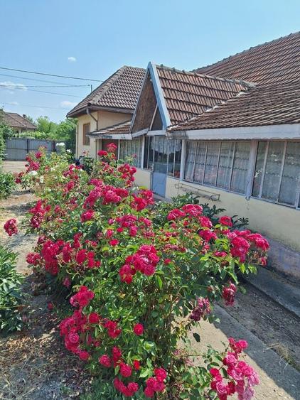 Casă cu 4 camere în Stroiești