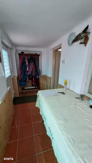 Casa modernizata, baie, centrala, 5593mp teren - Merei Ograzi - 16