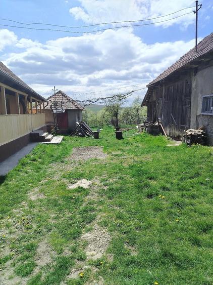 Casă cu Teren 3800 Mp în Rediu