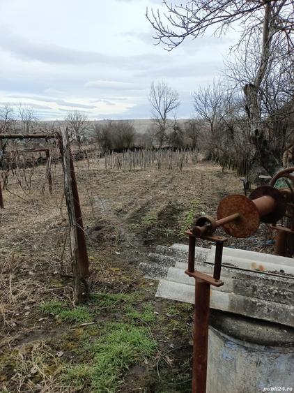 Casă cu 3 camere cu Teren 2394 Mp în Fărcășești