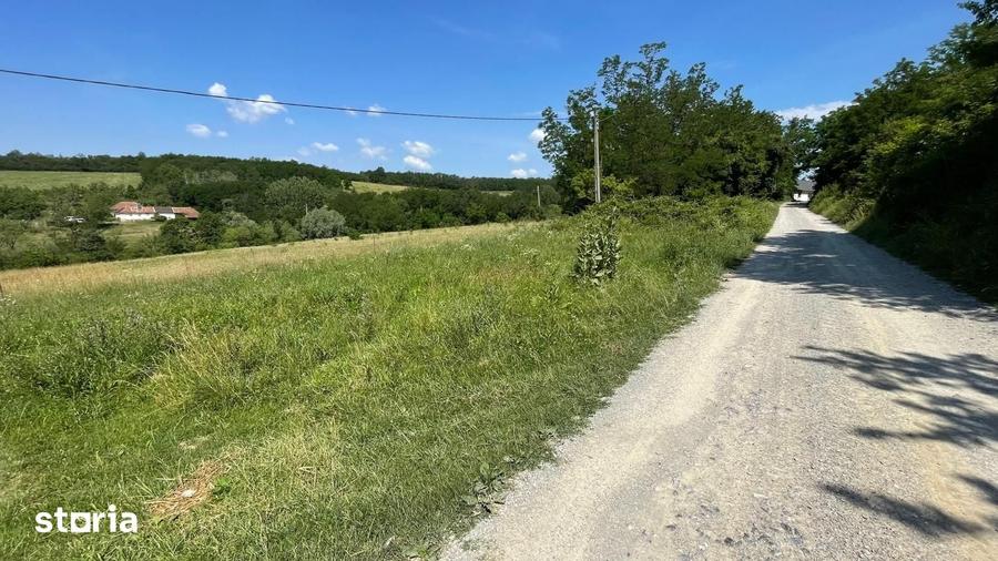 Teren de 10000 mp, în Ceica