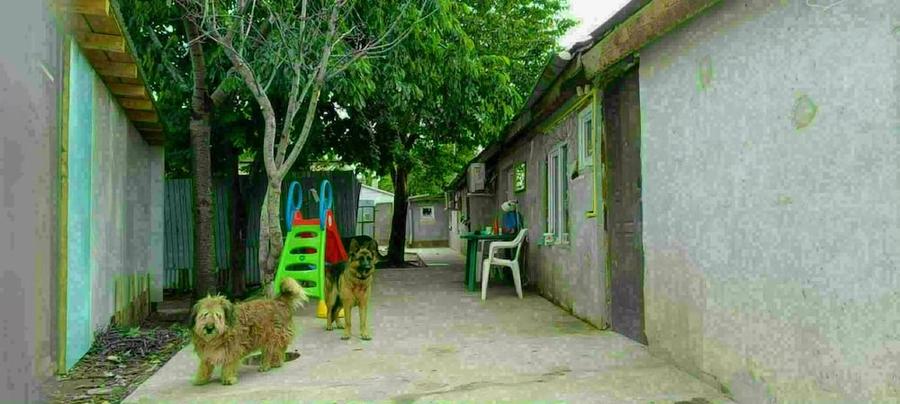 Casă cu Teren 276 Mp în Pantelimon