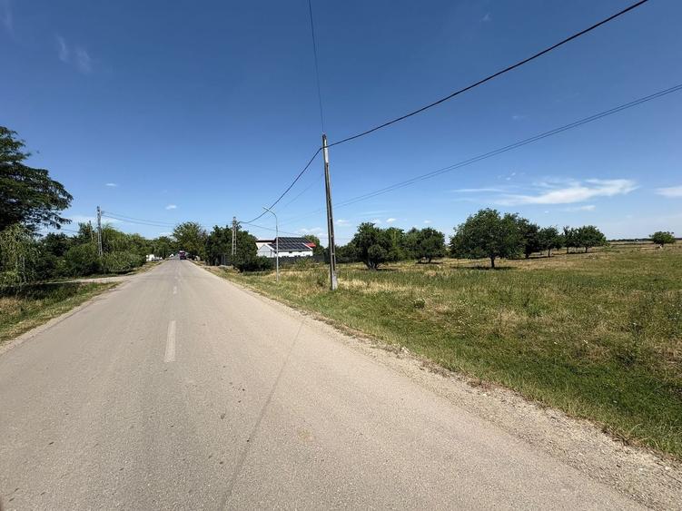 Teren Construcții intravilan de 10000 mp, în Brănești