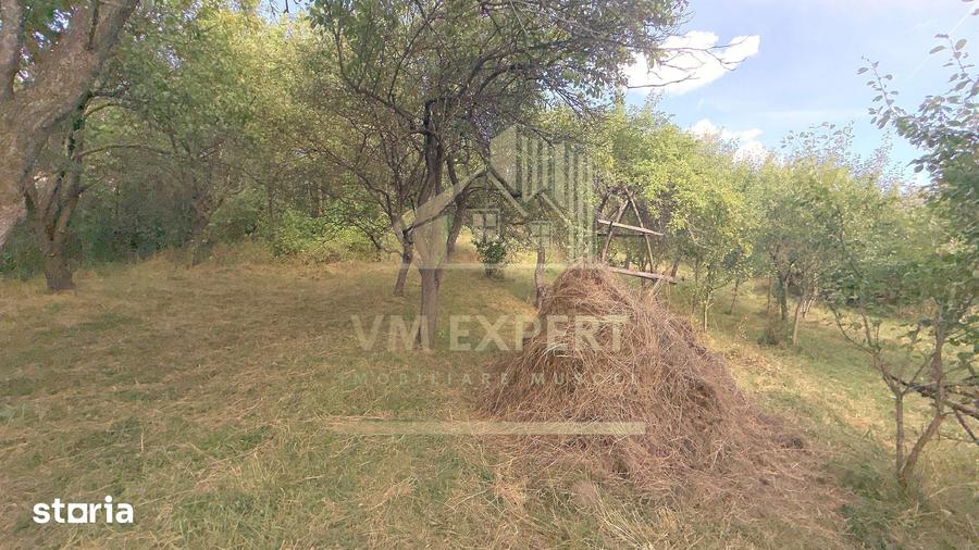 Casă cu 3 camere cu Teren 6660 Mp în Boteni