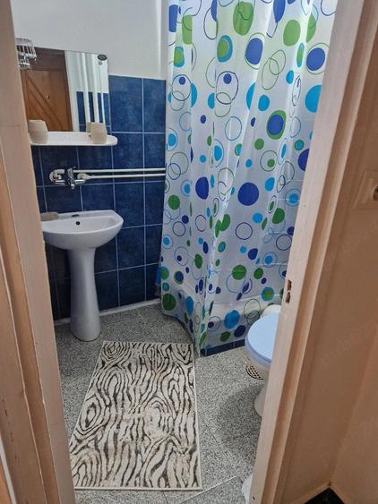 Garsonieră decomandată în Buziașului