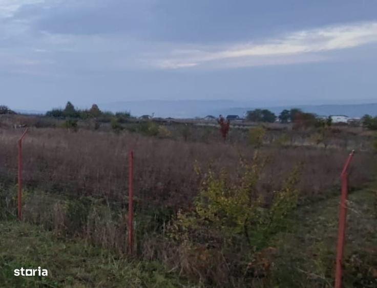 Spațiu comercial, în Valea Lupului