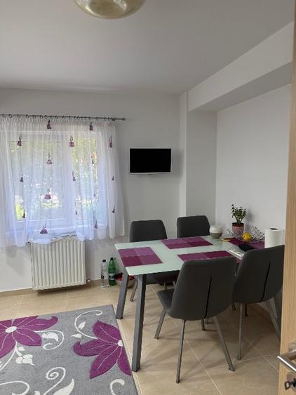 Apartament 4 camere, 98 mp utili, mobilat si utilat, zona Scriitorilor - 8