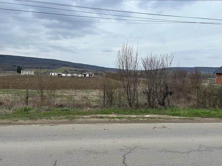 Teren de 660 mp, în Plavia
