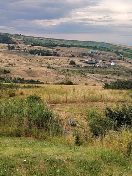 Vînd teren extavilan la 3 km de auchan iris - 3
