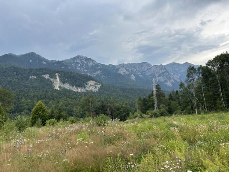 Teren de 1000 mp, în Cumpătu