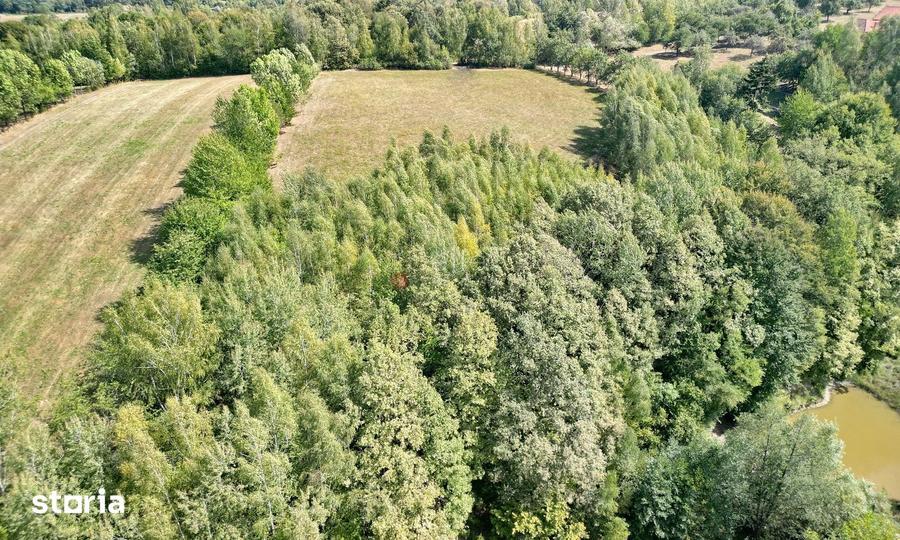 Teren de 10000 mp, în Bran