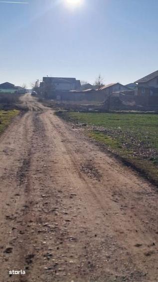 Lot vanzare comuna berceni - 3