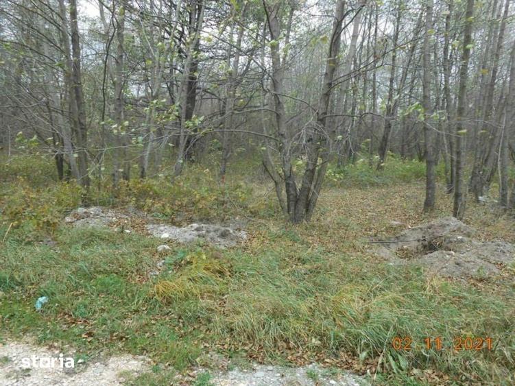 Teren de 2740 mp, în Bran