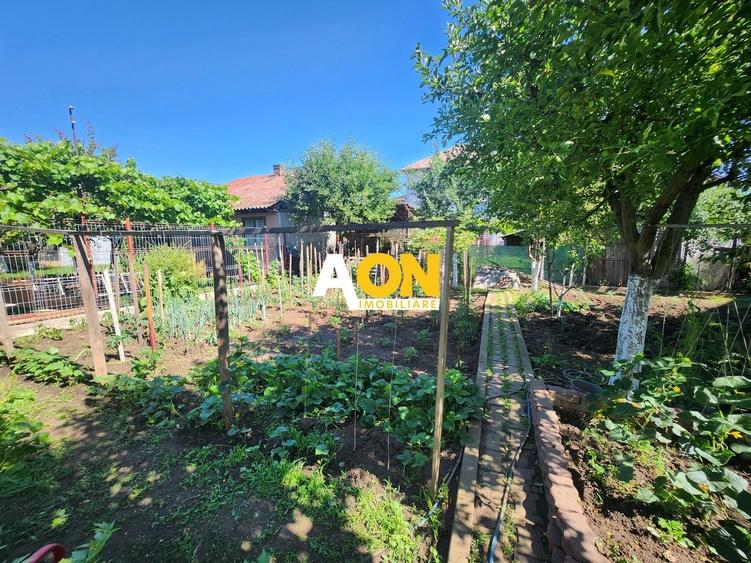 Casă individuală cu 5 camere cu Canalizare în Cetate