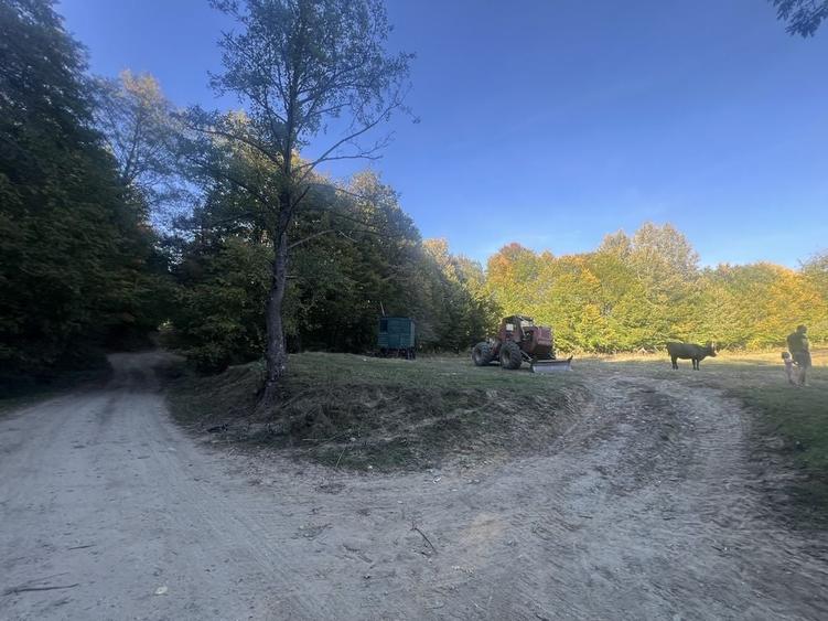 Teren de 5500 mp, în Tutana