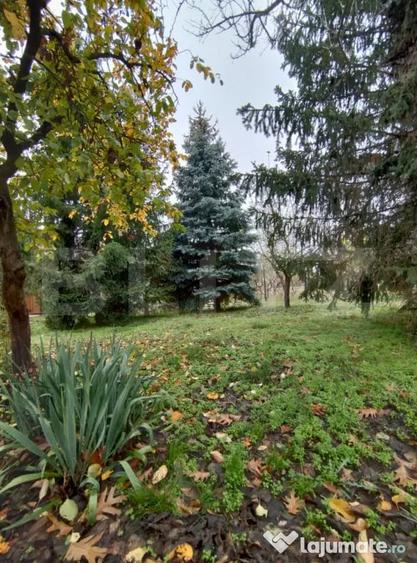 Casă cu 3 camere cu Teren 1001 Mp în Central