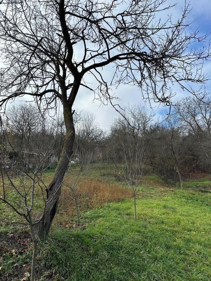 Teren de 2156 mp, în Suceagu