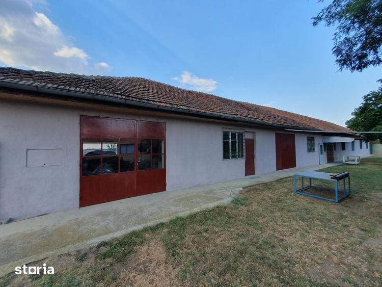 Spațiu comercial, de 382 mp, în Peciu Nou