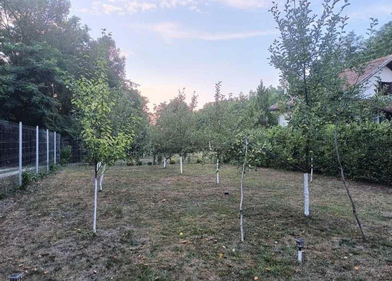 Casă cu 2 camere în Central